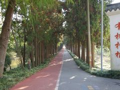 -上海长兴岛郊野公园