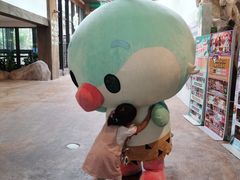 -杭州开元森泊度假乐园