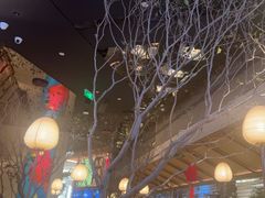 -桂满陇·海市蜃楼·黑金(国金店)