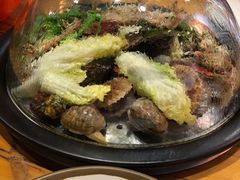 一筐蛤蜊-黄寺蒸汽海鲜(黄寺大街店)