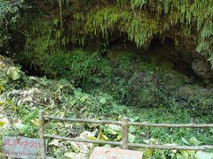 -海口火山口国家地质公园