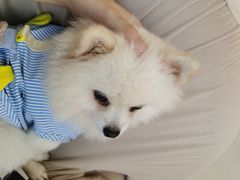 -怪兽屋·羊驼·猫咖·狗咖(俊华广场店)