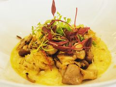 菌菇意式烩饭-Jean Georges