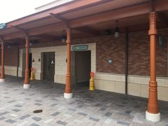 -迪士尼乐园停车场