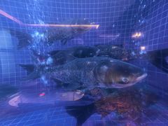 -忆江南·临江鱼馆