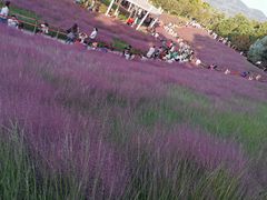 -牛岗山公园