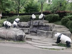 -都江堰中华大熊猫苑