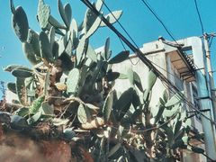 -阿鹏故事云南野生菌火锅(人民路店)