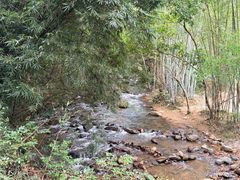 -象头山国家级自然保护区