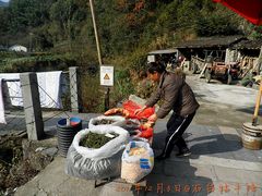 -祁门牯牛降观音堂风景区