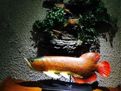 iphone_upload_pic-富侨养生(康乾店)