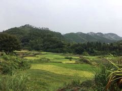 -金鸡岭桥头公园