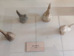 -北京动物园-畅观楼