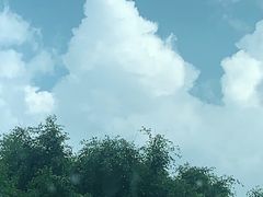 -墨江北回归线标志园