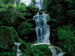 -藏龙百瀑风景区