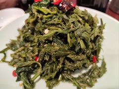 凉拌桑嫩芽-邵年鸽(杨庄店)
