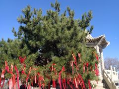 -终南山南五台景区