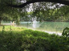 -杭州双溪漂流景区