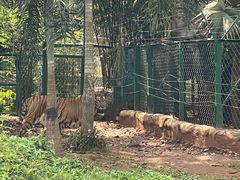 -海南热带野生动植物园