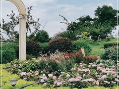 -紫颐香薰山谷景区