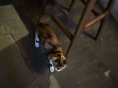 -Kekimatata 生日蛋糕·烘焙教学