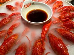 -红盔甲·小龙虾(天钥桥店)