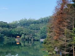 -深圳仙湖植物园