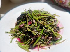 -解家河南菜(金水路店)