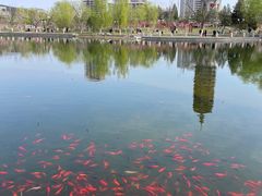 -西海子公园