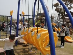 -上海长兴岛郊野公园