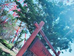 -芽庄珍珠岛游乐园