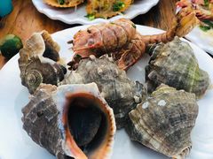 -明润海鲜(南边海店)
