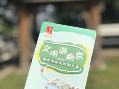 -大金山风景区