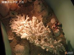 -亚龙湾中心广场·贝壳馆