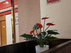 -晋阳春·山西菜·北京烤鸭(交大店)
