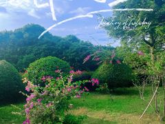 -东莞植物园