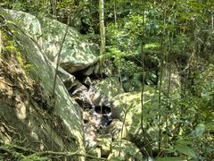 -海南热带雨林国家公园吊罗山景区