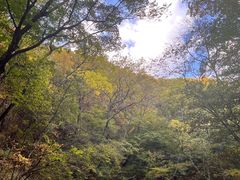 -本溪汤沟绿石谷森林公园