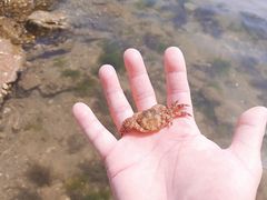 -北戴河东海水浴场