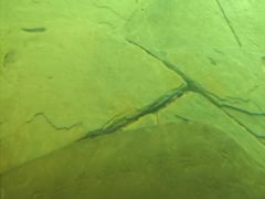 -白鹤梁水下博物馆