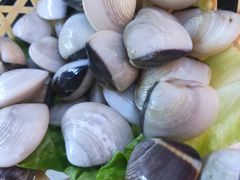 -马家斑.鲜鱼火锅(松湖万科店)