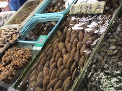 -大湾区中央湿地公园-十九涌