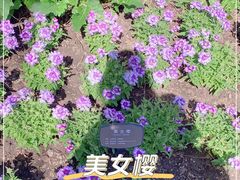 -国家植物园