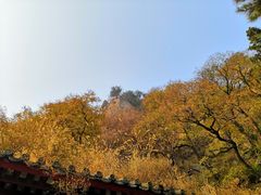 -北京鹫峰国家森林公园