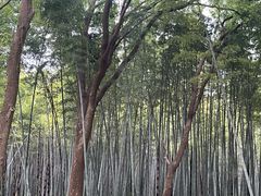 -同里国家湿地公园