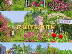 -太阳宫公园