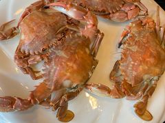 -鲜鲜·鲅鱼圈海鲜(于洪店)
