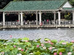 -荔湾湖公园