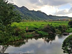 -中国茶叶博物馆(双峰馆区)