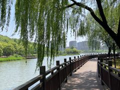 -绍兴镜湖国家城市湿地公园